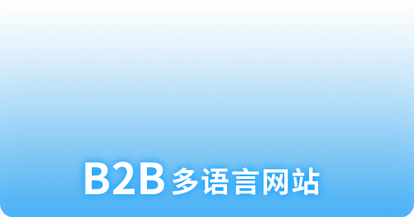 B2B多语言网站